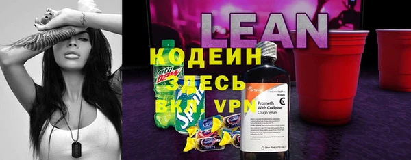сатива Осташков