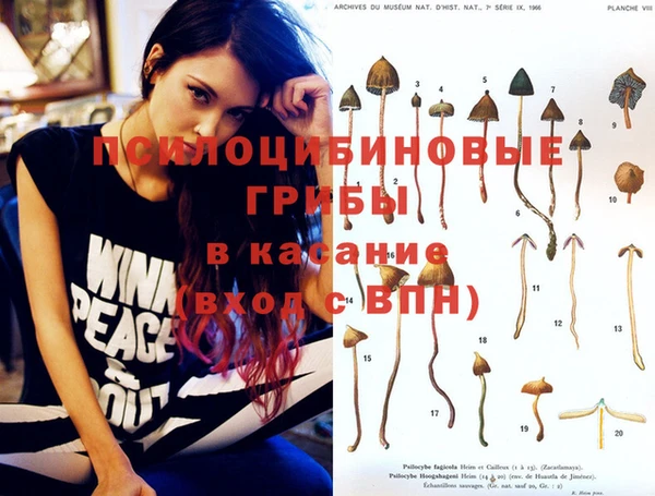 сатива Осташков