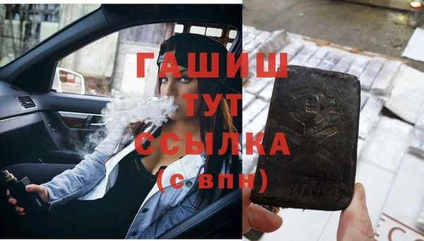 сатива Осташков
