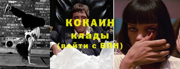 сатива Осташков