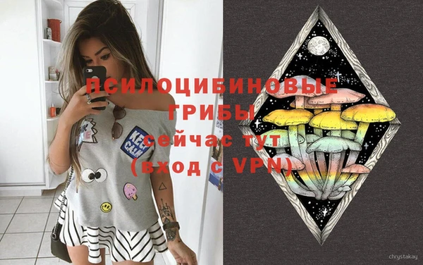 эйфоретик Осинники